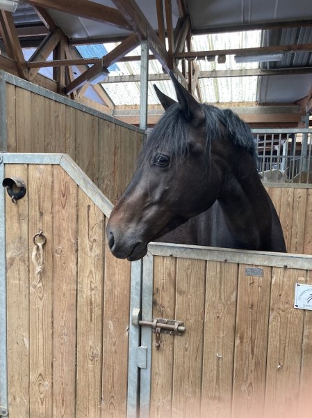 Centre équestre de Jablines-Annet