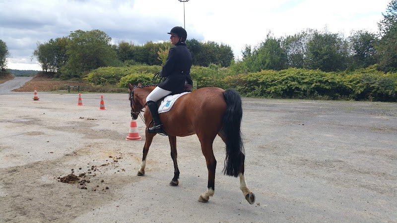 Centre équestre de Jablines-Annet - photo 3