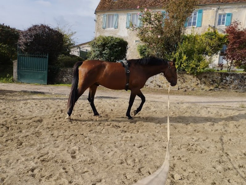 Haras de La Roche - photo 1