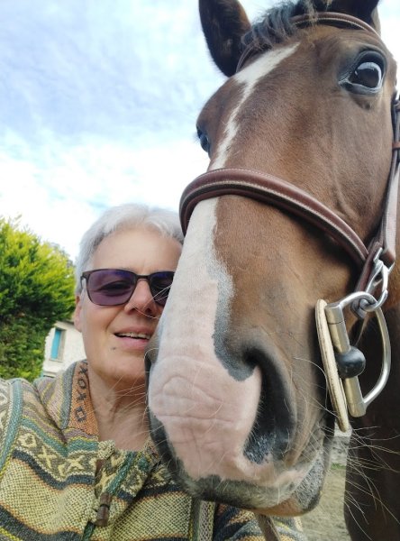 Haras de La Roche - photo 2