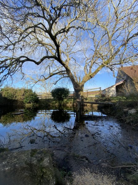 Écurie du Frêne d'Arendelle - photo 1