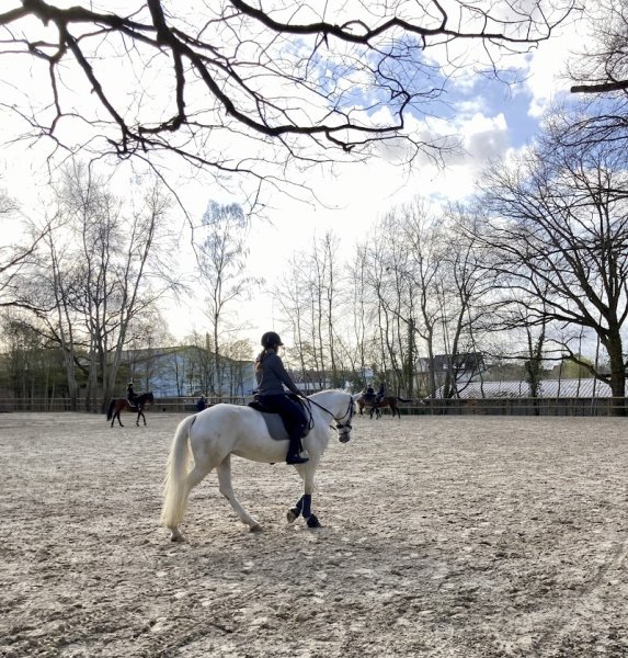 Club Hippique de Versailles - photo 2