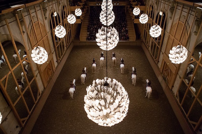 Académie équestre de Versailles - photo 1