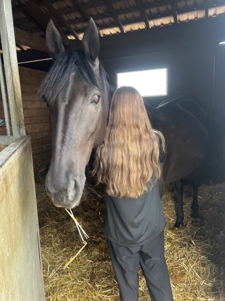 Poney Club des Quatre Chemins