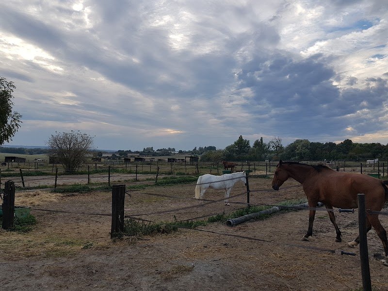 Écuries Du Bosquet - photo 2