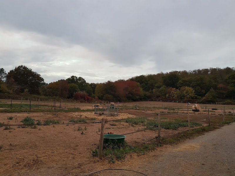 Écuries Du Bosquet - photo 3