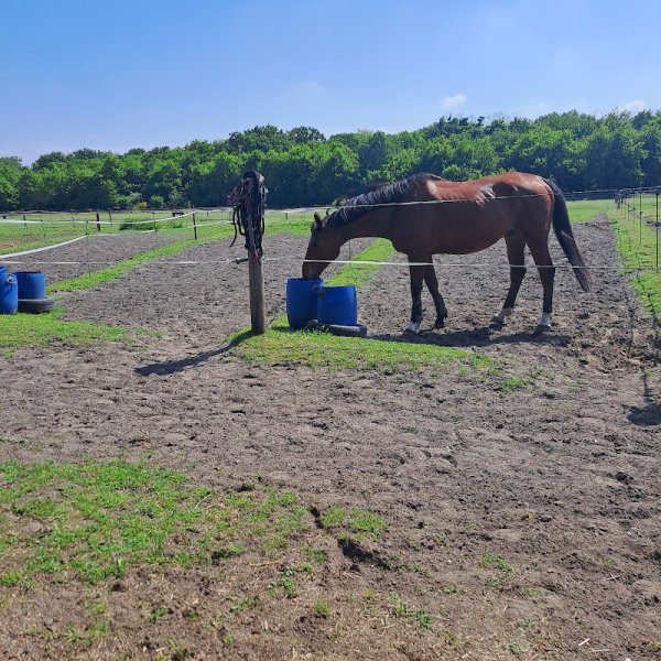 Les Ecuries de la Ferme d'Eragny - photo 1