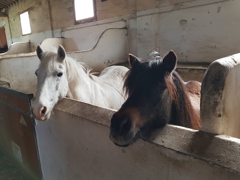 Les Ecuries de la Ferme d'Eragny - photo 2