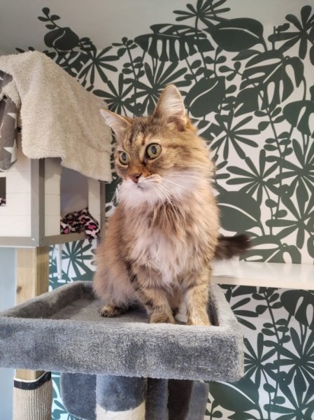 La Pension MUSO - photo 1