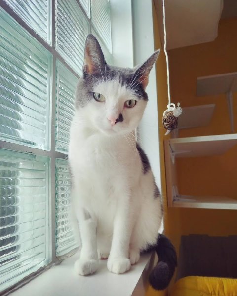 La Pension MUSO - photo 3