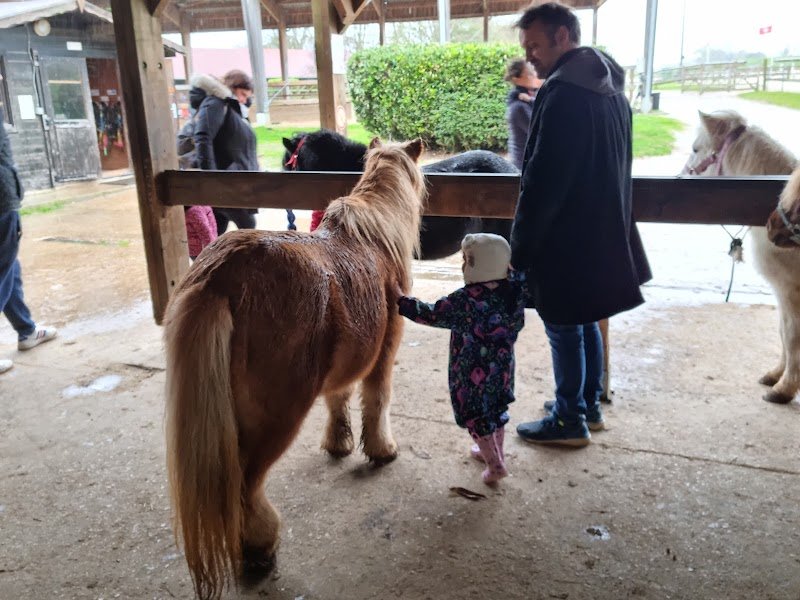 Centre Équestre de Saint Quentin en Yvelines - photo 1