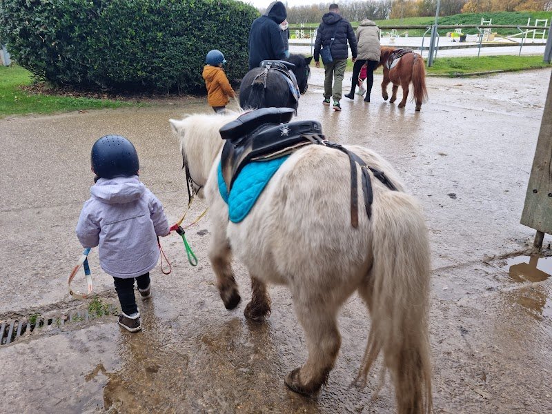 Centre Équestre de Saint Quentin en Yvelines - photo 2