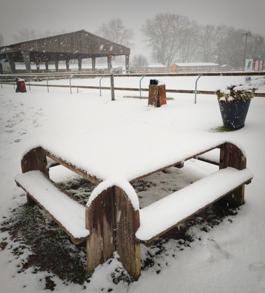 Centre Équestre de Saint Quentin en Yvelines - photo 3