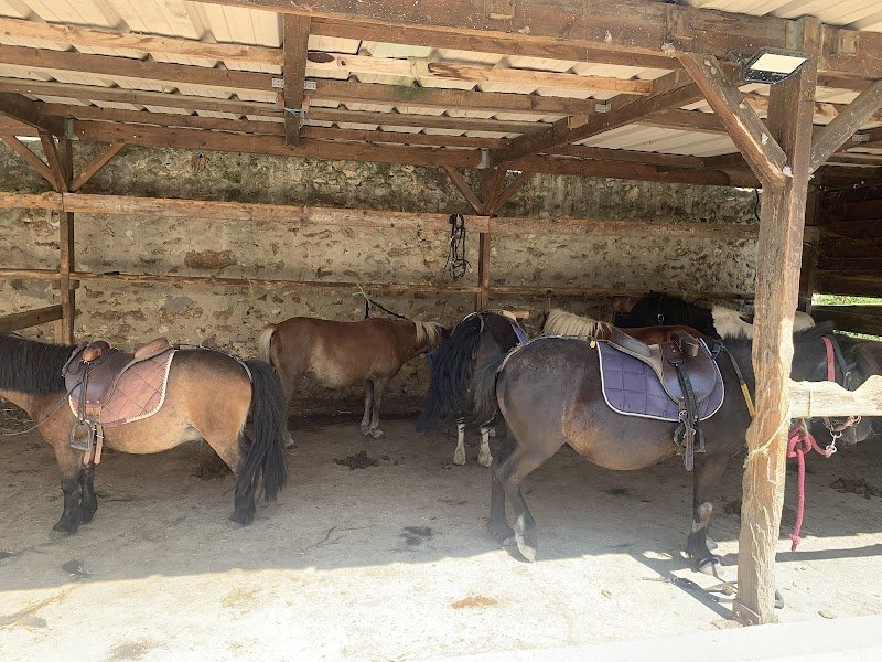 Les Écuries du Château - photo 1