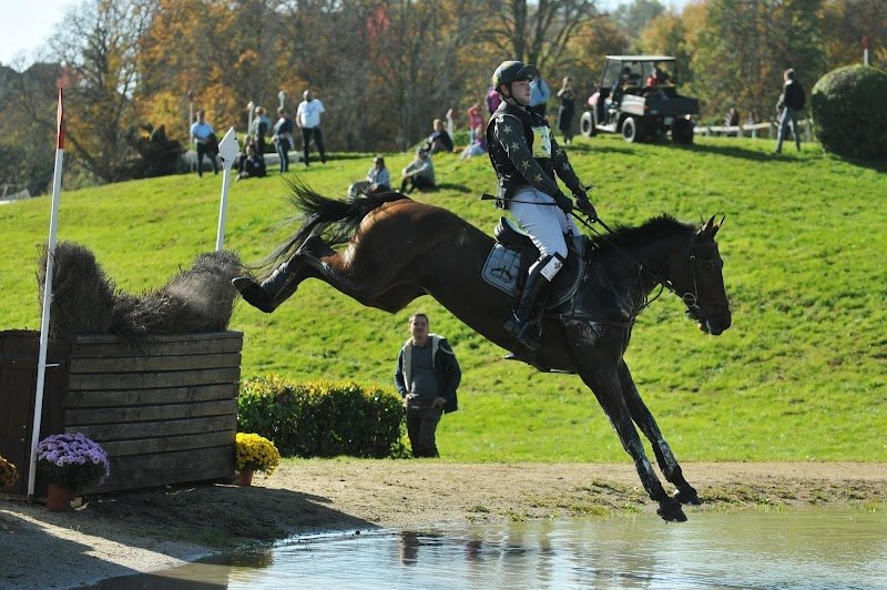 Ecuries Yann Catier - photo 2