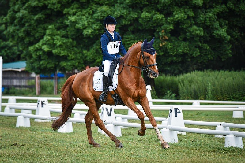 Ecuries Yann Catier - photo 3