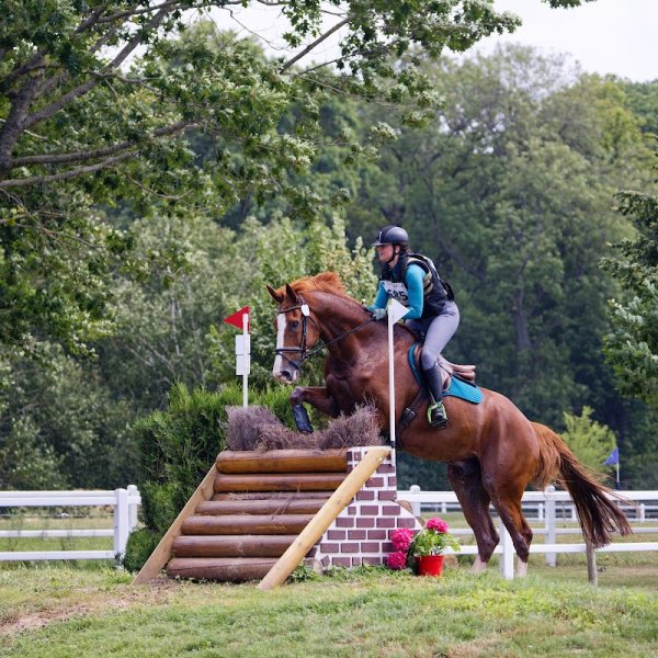 Centre Équestre du Haras de Jardy - photo 2