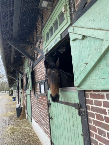 Centre Équestre du Haras de Jardy - photo 3