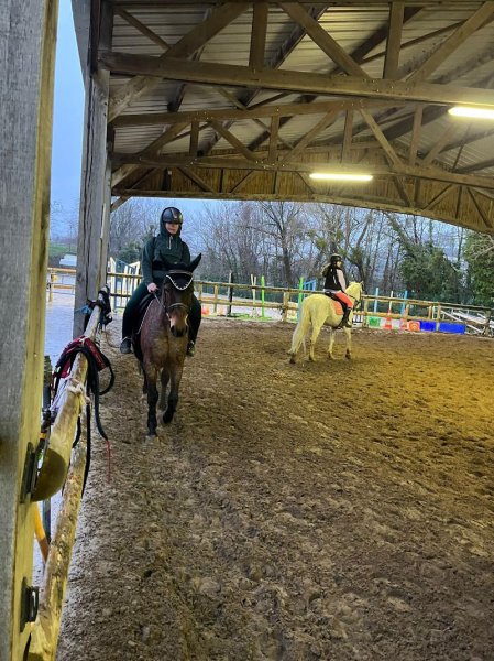 Poney-club de l'Ile - photo 1