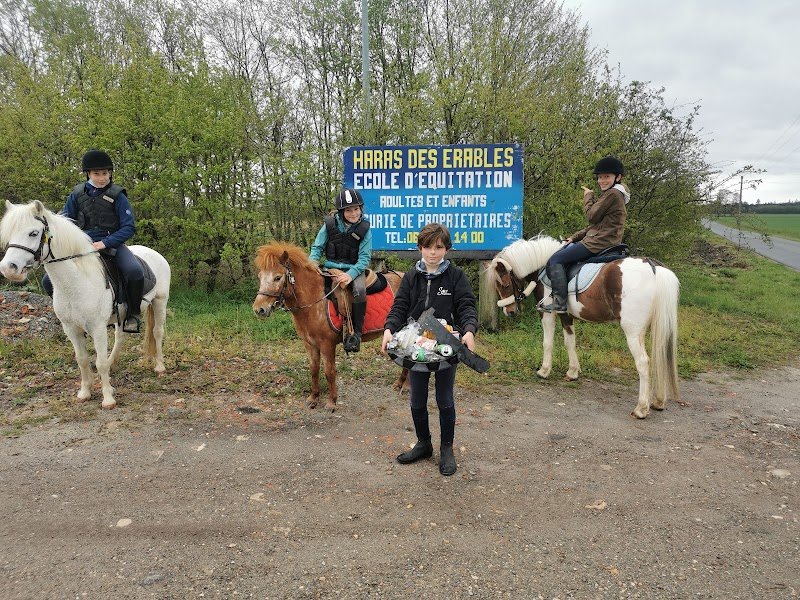 Haras des Érables - photo 2