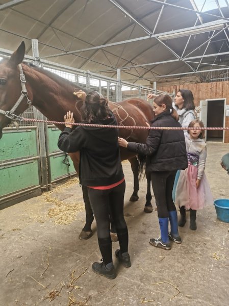 Haras des Érables - photo 3