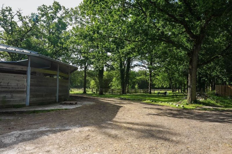 MS Stables - photo 3