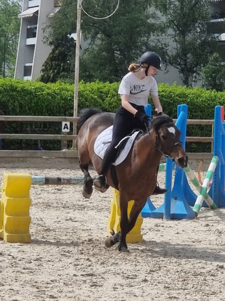 Poney Club de Vélizy - photo 3