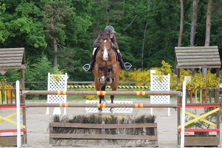 Le Haras de Paroti - photo 1