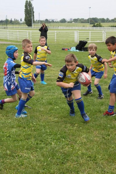 La Petite Cavalerie - photo 2