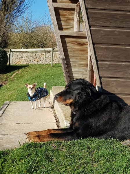 Ecurie Henriquet - photo 3