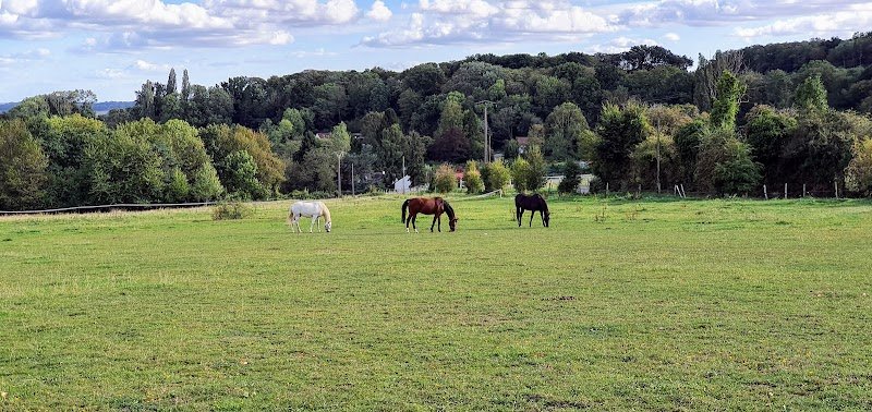 Haras de Stel - photo 1