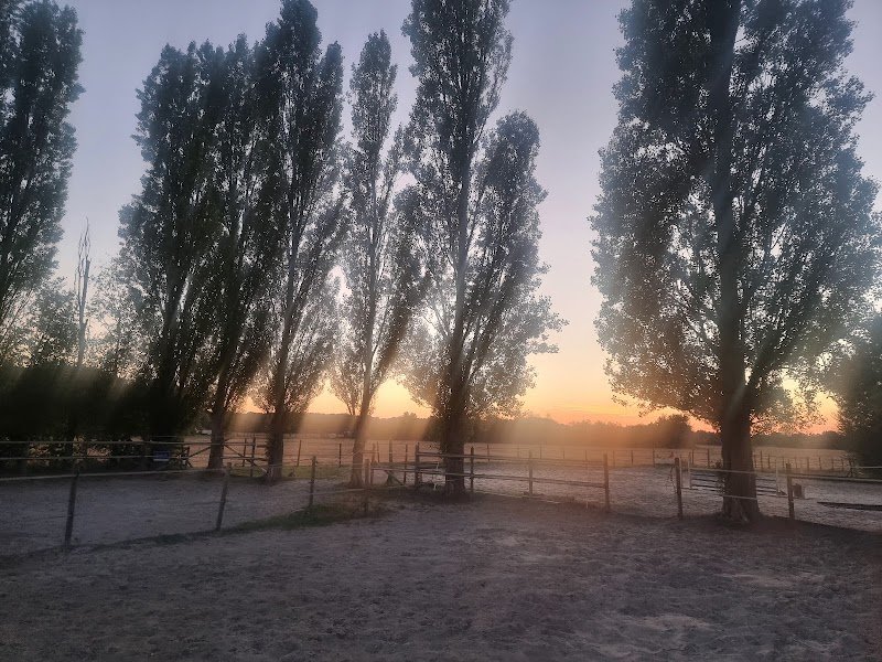 Écurie La Pommeraie - Poney-Club La Pommeraie et Ecurie Olivier Billaud - photo 3