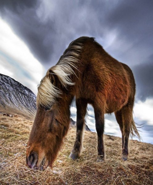 Les Écuries de la Porte Neuve - photo 1