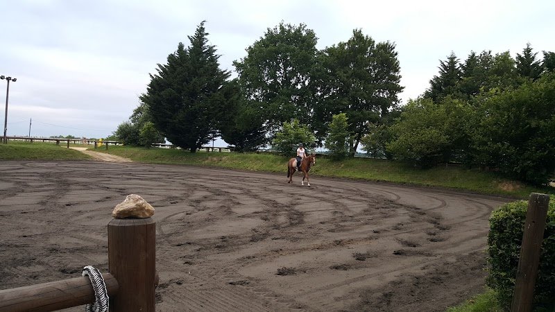 Centre Équestre Le Coin Du Bois - photo 2