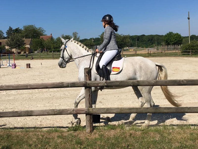 Ecurie Blumenfeld - photo 3