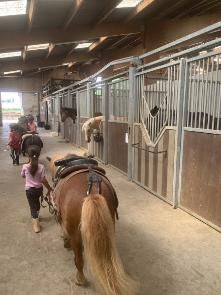 Ecurie as de pic - photo 1