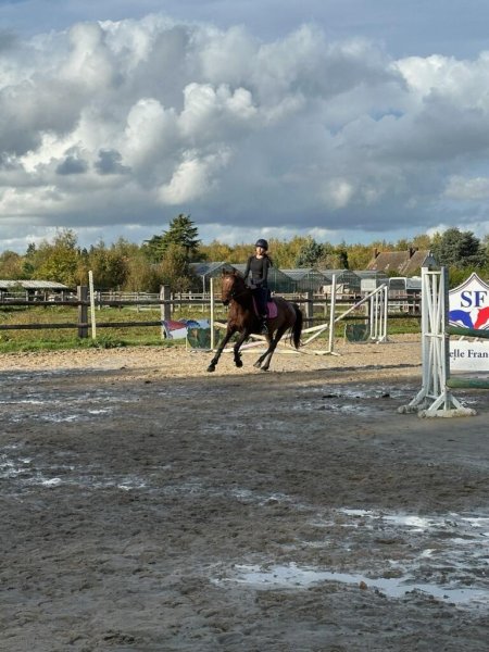 Ecurie as de pic - photo 2