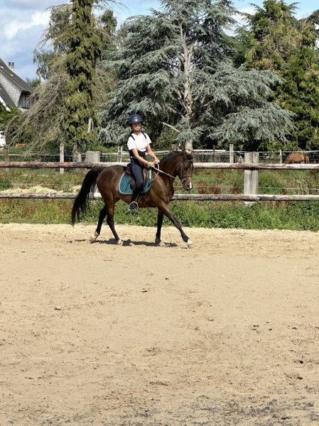 Ecurie as de pic - photo 3