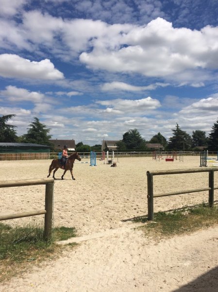 Haras Des Vignes - photo 2