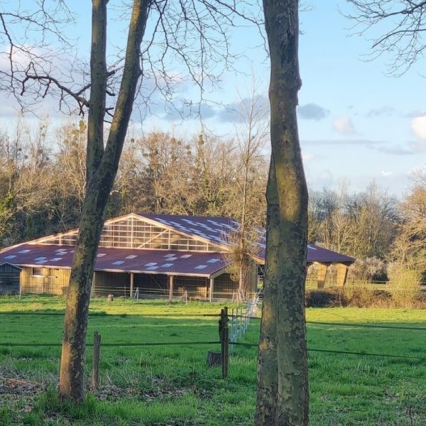 Haras du Lieutel - photo 1