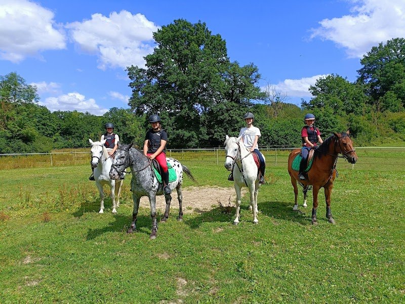 Haras du Lieutel - photo 2