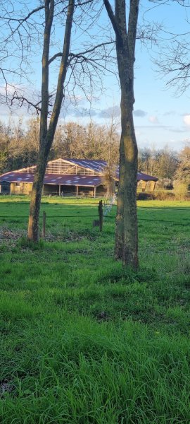 Haras du Lieutel - photo 3