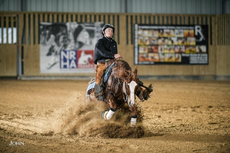 Gb quarter Horse - photo 3