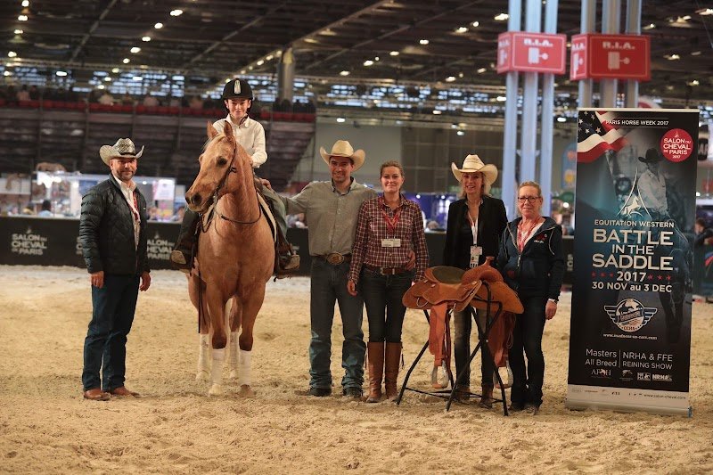 Gb Quarter Horses , - photo 2