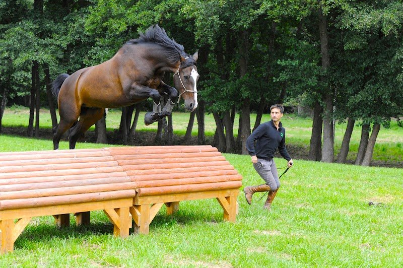 Haras de la Cense - photo 1