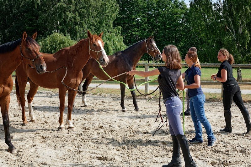 Haras de la Cense - photo 2