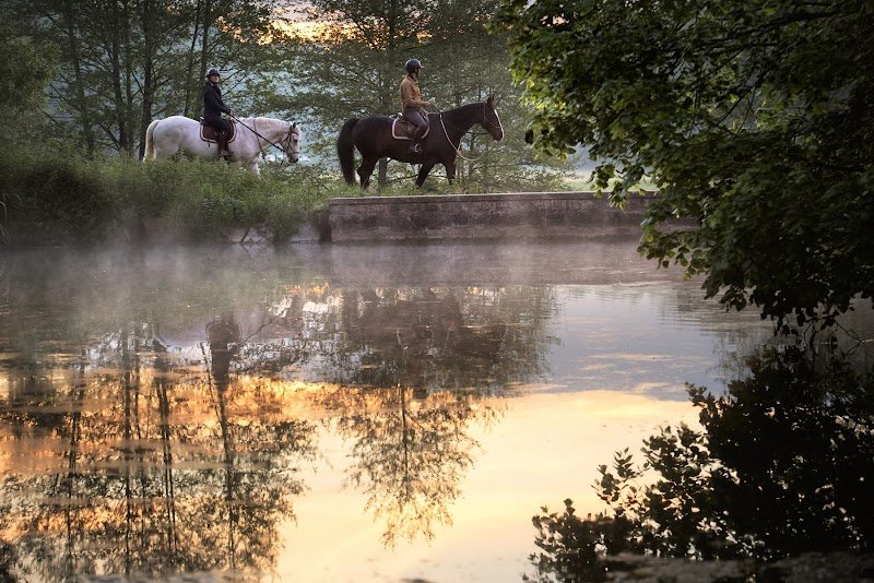 Haras de la Cense - photo 3