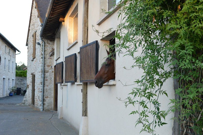 Les Ecuries De Wy - photo 2
