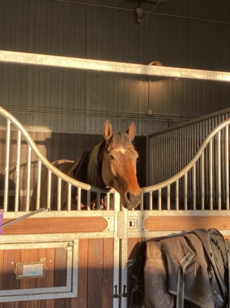 Écurie Quinault - photo 2