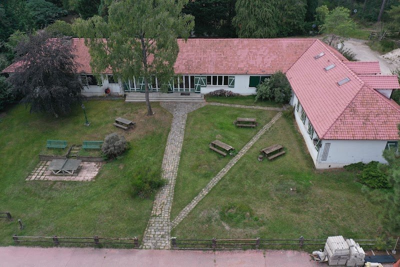 Écurie de la Lisière by SEPT Horses - photo 2